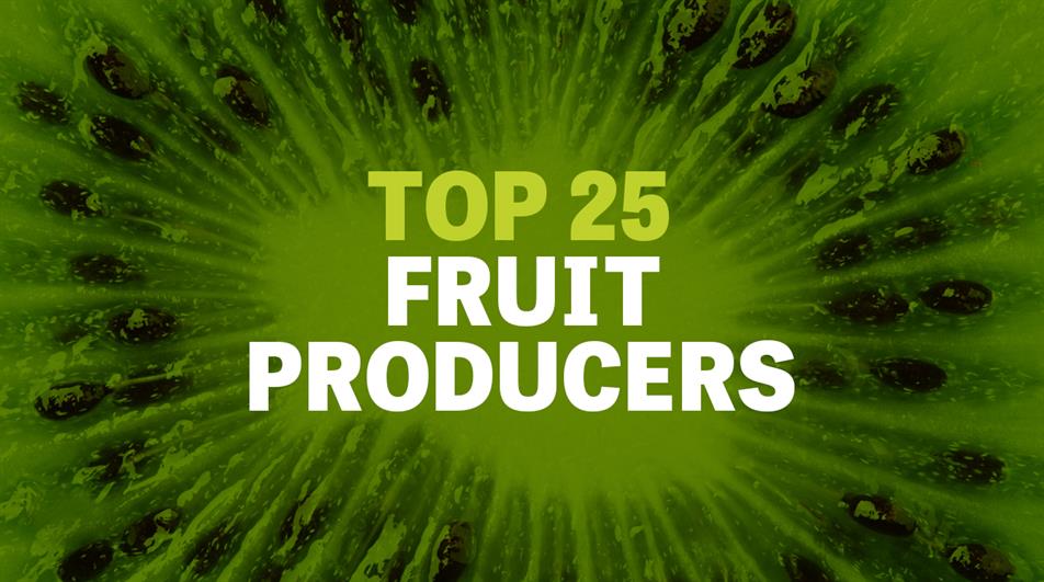 Top 25 UK fruit producers